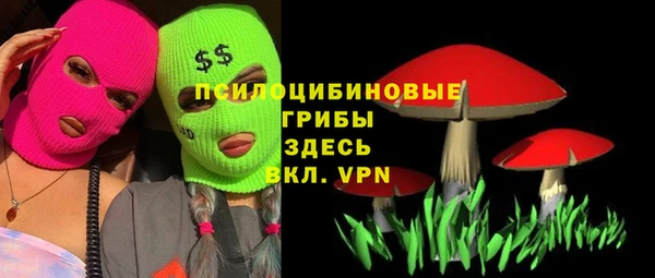 наркотики Новодвинск