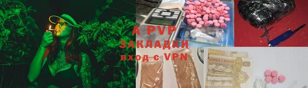 крисы Козловка