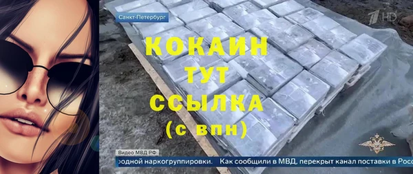 2c-b Козельск