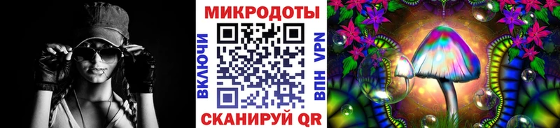 наркота  Краснозаводск  Псилоцибиновые грибы ЛСД 